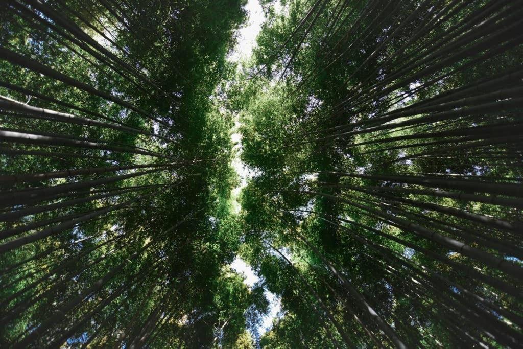 京都市 三条地蔵庵ヴィラ エクステリア 写真